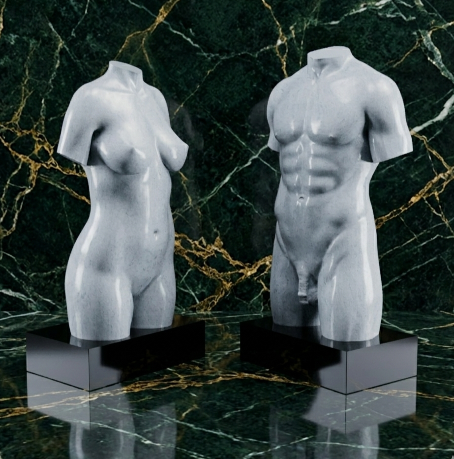 Exklusive 3D Torsos